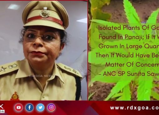 Isolated Ganja Plants Found in Panaji– ANC SP Sunita Sawant