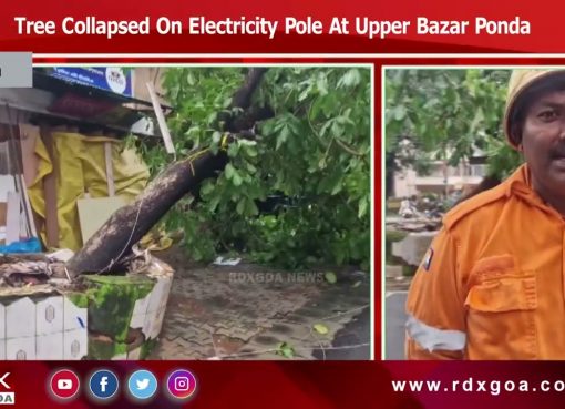 Tree Collapsed On Electricity Pole At Upper Bazar Ponda