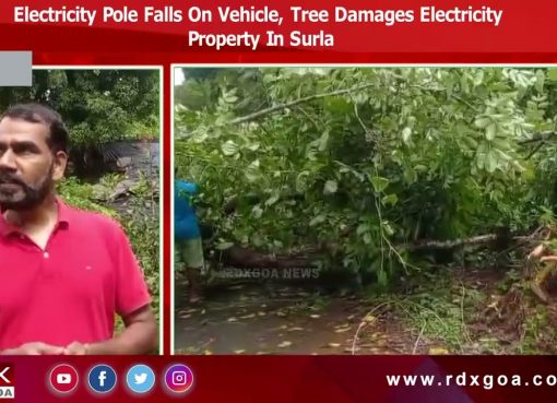 Electricity Pole Falls On Vehicle, Tree Damages Electricity Property In Surla