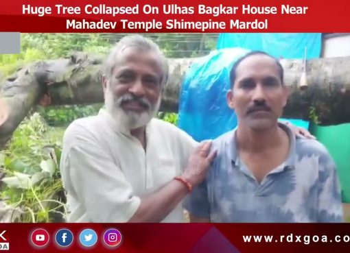 Huge Tree Collapsed On Ulhas Bagkar House Near Mahadev Temple Shimepine Mardol