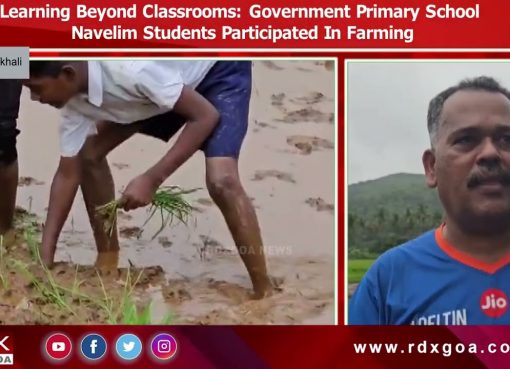 Learning Beyond Classrooms :Government Primary School Navelim Students Participated In Farming