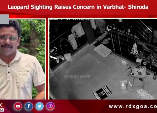 Leopard Sighting Raises Concern in Varbhat – Shiroda