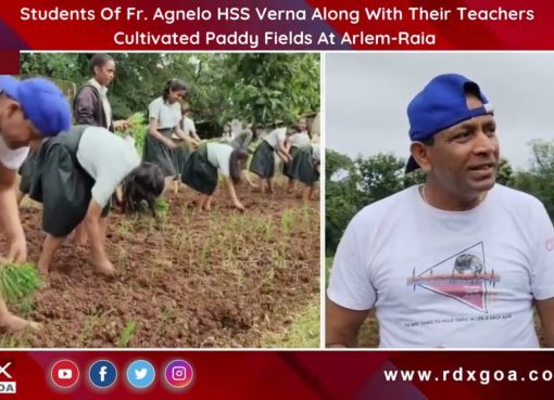 Students Of Fr. Agnelo HSS Verna Along With Their Teachers Cultivated Paddy Fields At Arlem-Raia