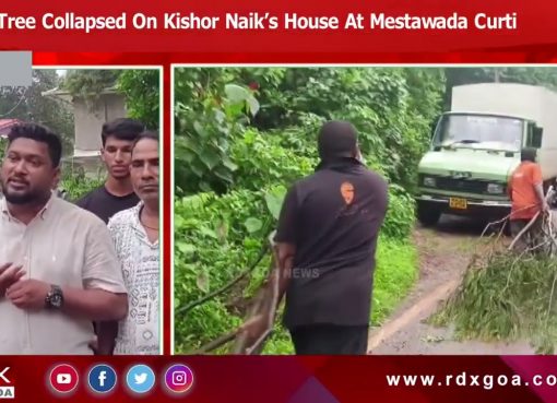 Tree Collapsed on Kishor Naik’s House at Mestawada Curti