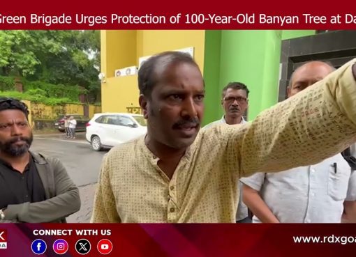 Goa Green Brigade Urges Protection of 100-Year-Old Banyan Tree at Dabolim