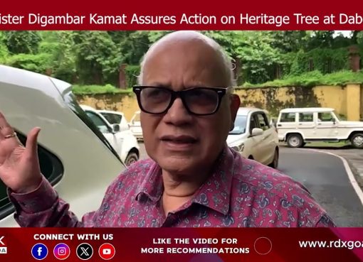 Minister Digambar Kamat Assures Action on Heritage Tree at Dabolim