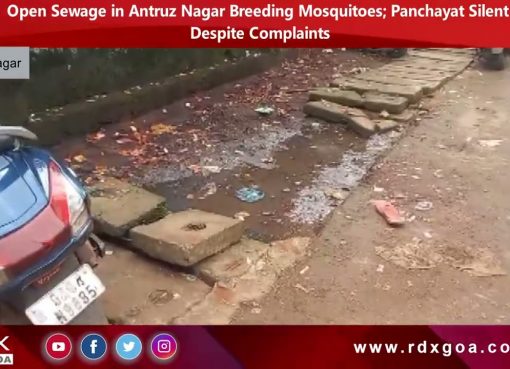 Open Sewage in Antruz Nagar Breeding Mosquitoes; Panchayat Silent Despite Complaints