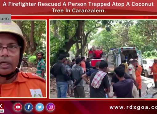 A Firefighter Rescued A Person Trapped Atop A Coconut Tree In Caranzalem.